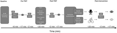 Acute stress imparts a transient benefit to task-switching that is not modulated following a single bout of exercise